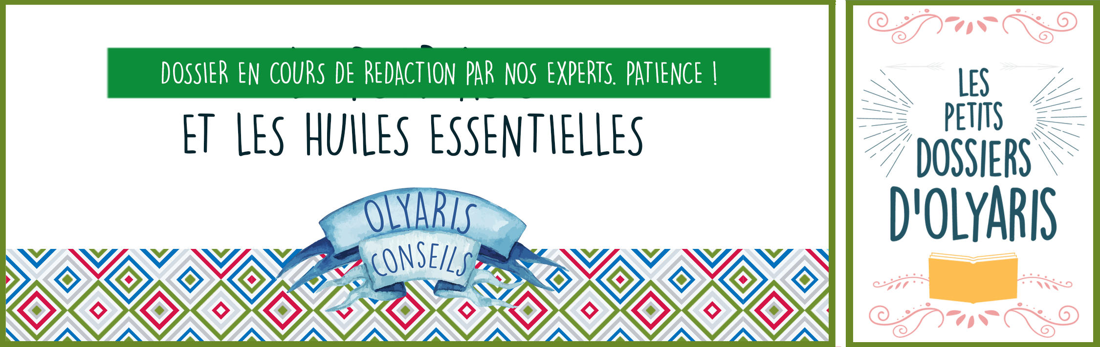 Peau Sensible : La Routine Naturelle aux Huiles Essentielles par Olyaris